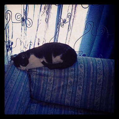 915416_669034089800537_1783988206_n