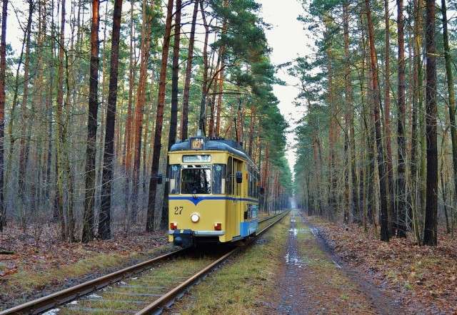 tram-585916_1280